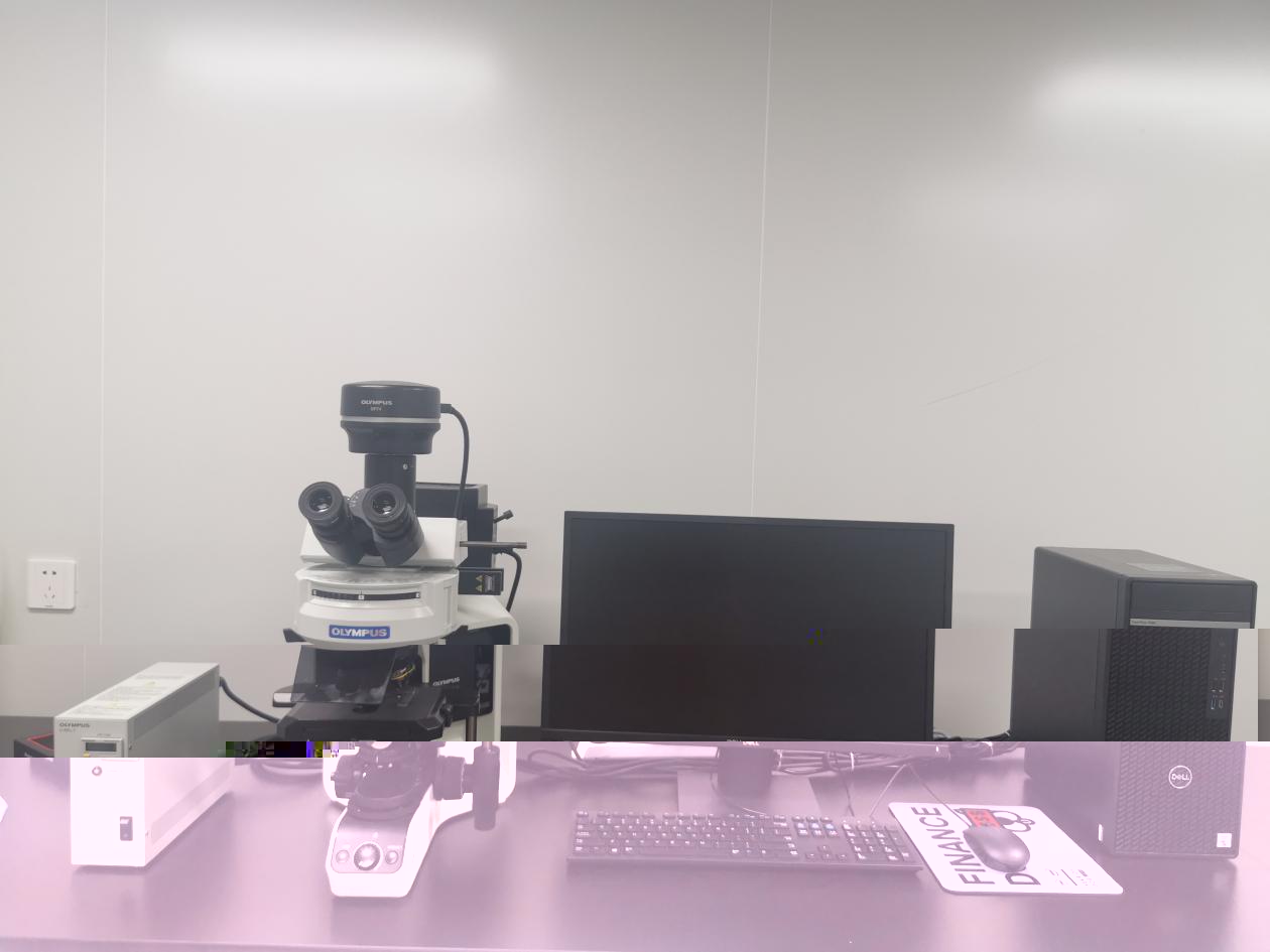 a1373901b02bb149303ba233866dde4